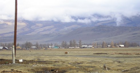 Село Курай