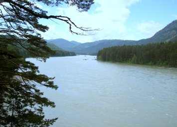 Река Катунь